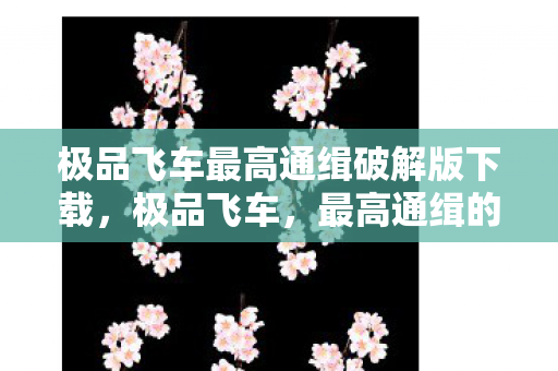 极品飞车最高通缉破解版下载，极品飞车，最高通缉的极致体验与游戏乐趣