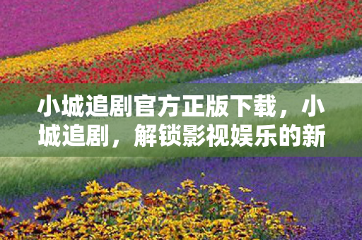 小城追剧官方正版下载，小城追剧，解锁影视娱乐的新方式