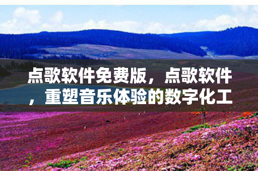 点歌软件免费版，点歌软件，重塑音乐体验的数字化工具