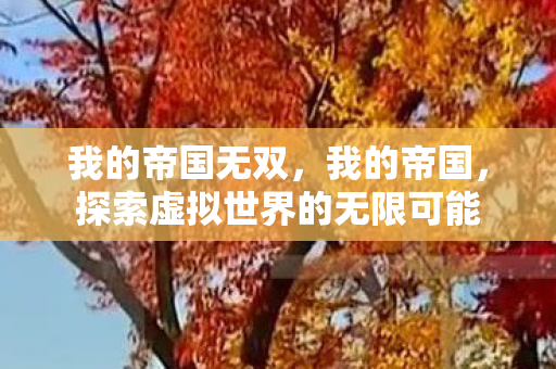 我的帝国无双，我的帝国，探索虚拟世界的无限可能