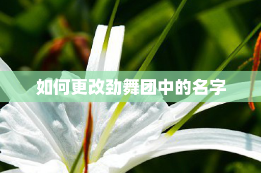 如何更改劲舞团中的名字