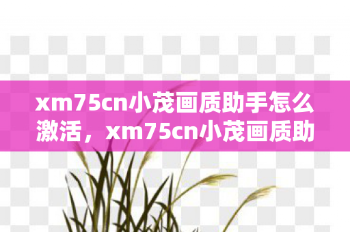 xm75cn小茂画质助手怎么激活，xm75cn小茂画质助手，提升游戏体验的画质优化利器