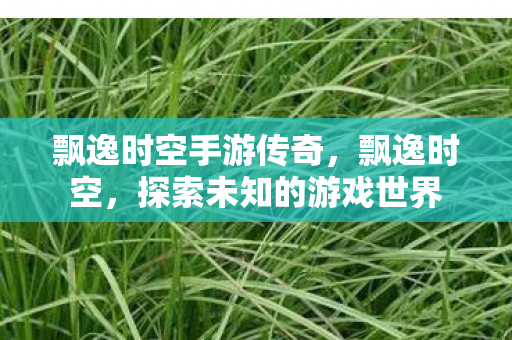 飘逸时空手游传奇，飘逸时空，探索未知的游戏世界