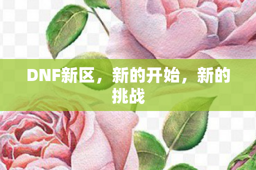 DNF新区，新的开始，新的挑战