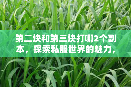 第二块和第三块打哪2个副本，探索私服世界的魅力，合法合规的私人服务器体验