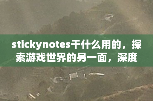 stickynotes干什么用的，探索游戏世界的另一面，深度解析游戏服务器的多样性与服务优化