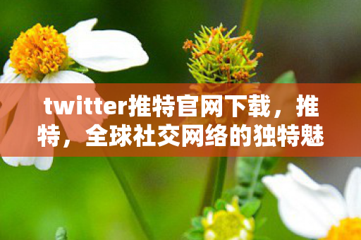 twitter推特官网下载，推特，全球社交网络的独特魅力