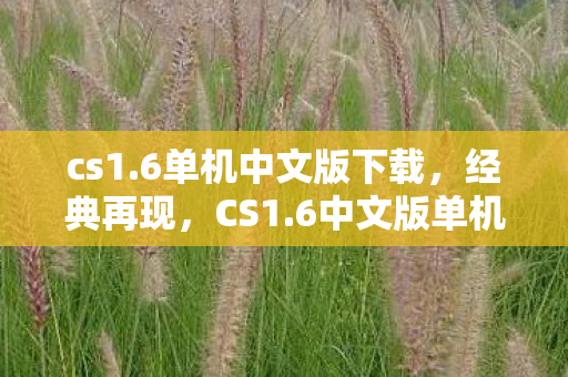 cs1.6单机中文版下载，经典再现，CS1.6中文版单机版的魅力与回忆