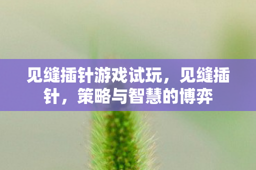 见缝插针游戏试玩，见缝插针，策略与智慧的博弈