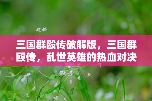 三国群殴传破解版，三国群殴传，乱世英雄的热血对决