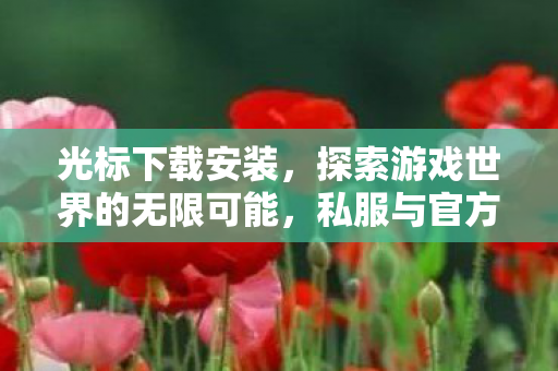 光标下载安装，探索游戏世界的无限可能，私服与官方服务器的独特魅力
