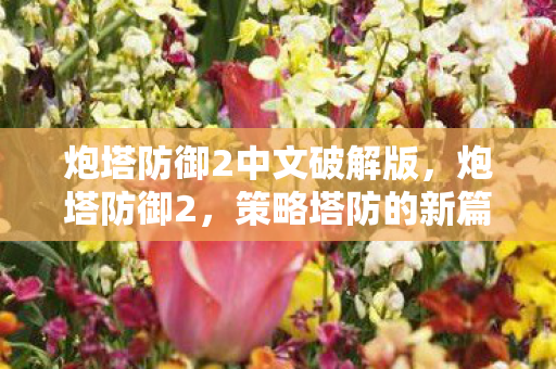 炮塔防御2中文破解版,炮塔防御2,策略塔防的新篇章 炮塔防御2中文破解版,炮塔防御2,策略塔防的新篇章