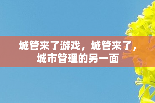 城管来了游戏，城管来了，城市管理的另一面