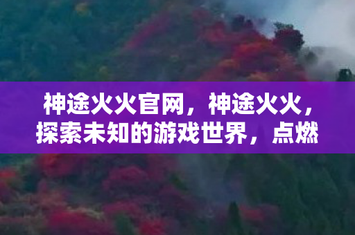 神途火火官网，神途火火，探索未知的游戏世界，点燃你的冒险激情