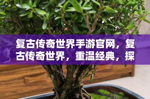 复古传奇世界手游官网，复古传奇世界，重温经典，探索传奇的无限可能