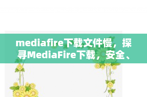 mediafire下载文件慢，探寻MediaFire下载，安全、高效、便捷的数字资产存储新体验