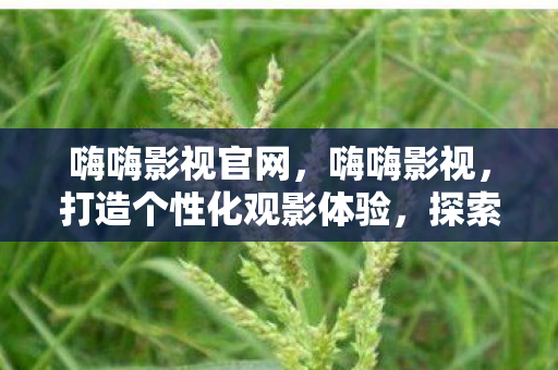 嗨嗨影视官网，嗨嗨影视，打造个性化观影体验，探索影视新境界