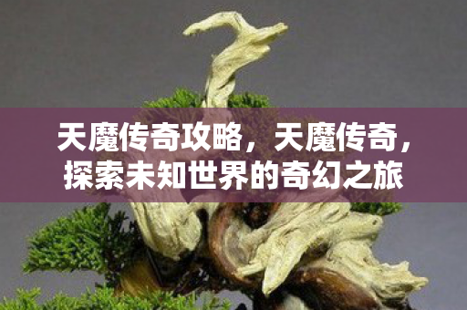 天魔传奇攻略，天魔传奇，探索未知世界的奇幻之旅