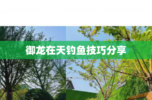 御龙在天钓鱼技巧分享