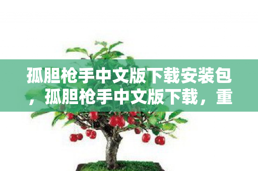 孤胆枪手中文版下载安装包，孤胆枪手中文版下载，重温经典射击游戏的魅力