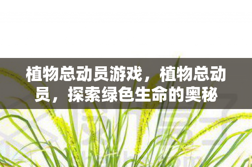 植物总动员游戏，植物总动员，探索绿色生命的奥秘