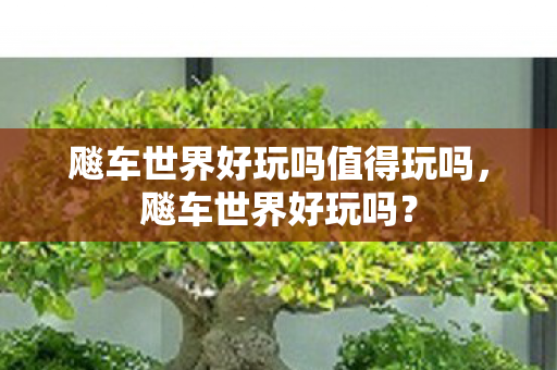 飚车世界好玩吗值得玩吗，飚车世界好玩吗？