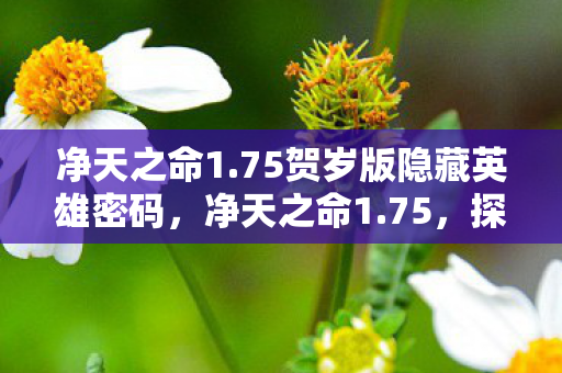 净天之命1.75贺岁版隐藏英雄密码，净天之命1.75，探索经典游戏的全新维度