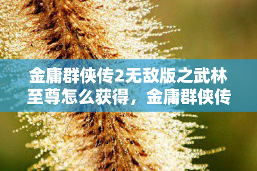 金庸群侠传2无敌版之武林至尊怎么获得，金庸群侠传2无敌版之武林至尊，重温经典，再战江湖