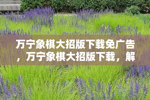 万宁象棋大招版下载免广告,万宁象棋大招版下载,解锁无限可能的象棋新体验 万宁象棋大招版下载免广告,万宁象棋大招版下载,解锁无限可能的象棋新体验