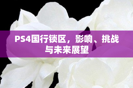 PS4国行锁区，影响、挑战与未来展望