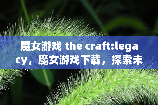 魔女游戏 the craft:legacy，魔女游戏下载，探索未知世界的奇幻之旅