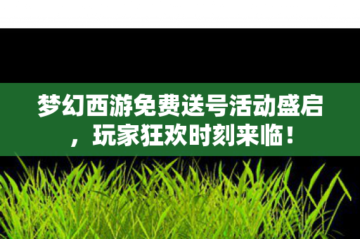 梦幻西游免费送号活动盛启，玩家狂欢时刻来临！