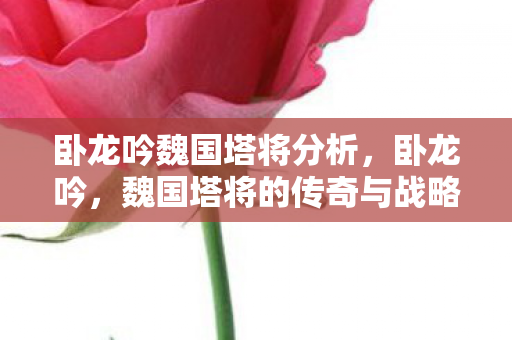 卧龙吟魏国塔将分析，卧龙吟，魏国塔将的传奇与战略