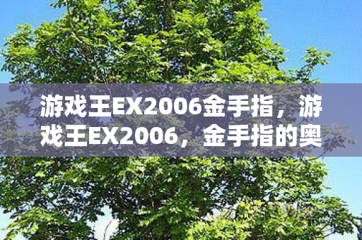游戏王EX2006金手指，游戏王EX2006，金手指的奥秘与策略运用