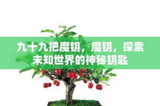 九十九把魔钥，魔钥，探索未知世界的神秘钥匙