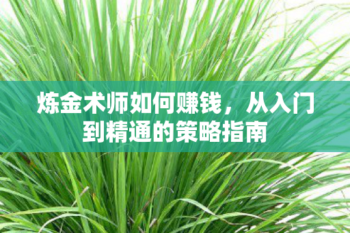 炼金术师如何赚钱,从入门到精通的策略指南 炼金术师如何赚钱,从入门到精通的策略指南