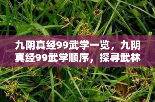 九阴真经99武学一览，九阴真经99武学顺序，探寻武林的终极奥秘