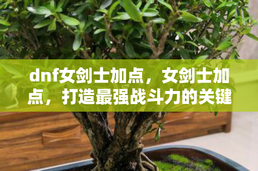 dnf女剑士加点，女剑士加点，打造最强战斗力的关键策略