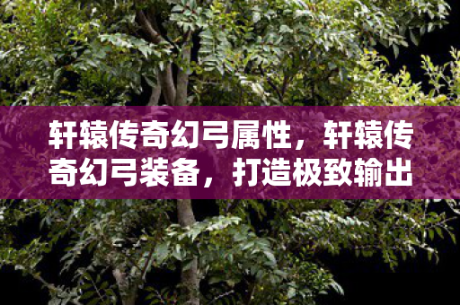 轩辕传奇幻弓属性，轩辕传奇幻弓装备，打造极致输出的神器