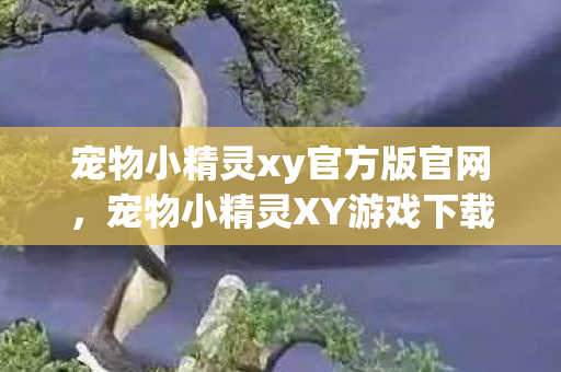 宠物小精灵xy官方版官网，宠物小精灵XY游戏下载，重温经典，畅享无限冒险
