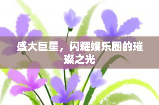 盛大巨星，闪耀娱乐圈的璀璨之光