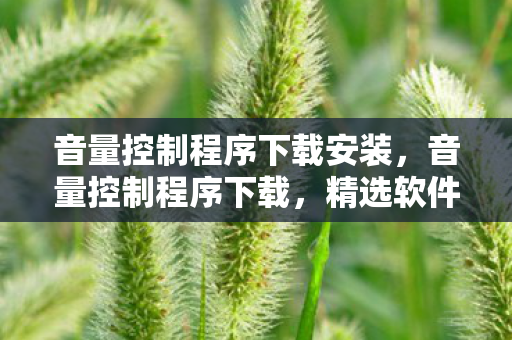 音量控制程序下载安装，音量控制程序下载，精选软件，精准调节，打造个性化听觉体验