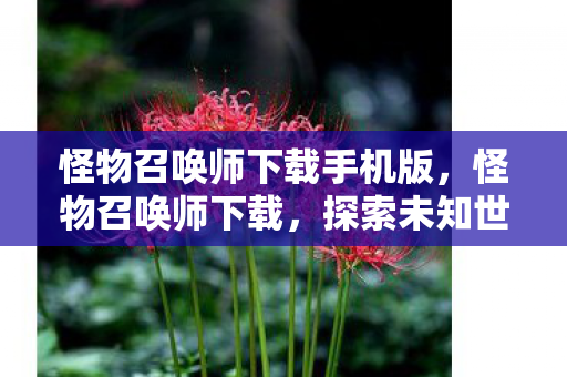 怪物召唤师下载手机版，怪物召唤师下载，探索未知世界的奇幻之旅