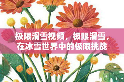 极限滑雪视频，极限滑雪，在冰雪世界中的极限挑战