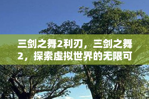 三剑之舞2利刃，三剑之舞2，探索虚拟世界的无限可能
