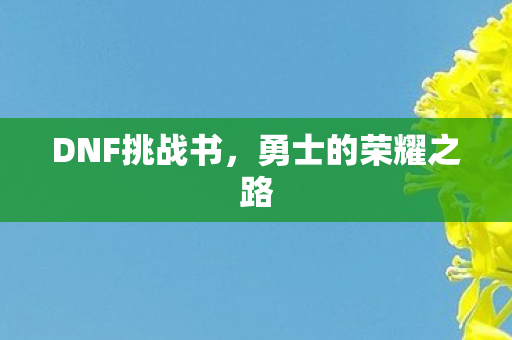 DNF挑战书，勇士的荣耀之路