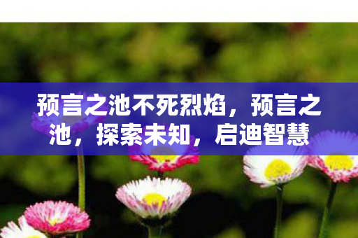 预言之池不死烈焰，预言之池，探索未知，启迪智慧