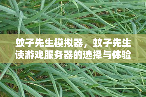 蚊子先生模拟器，蚊子先生谈游戏服务器的选择与体验