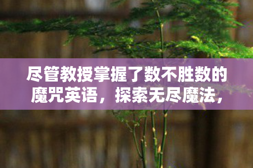 尽管教授掌握了数不胜数的魔咒英语，探索无尽魔法，教授与魔咒的奇幻之旅