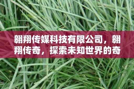 翱翔传媒科技有限公司，翱翔传奇，探索未知世界的奇幻之旅